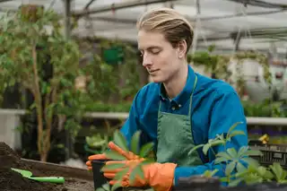 Дмитрий Зелёный